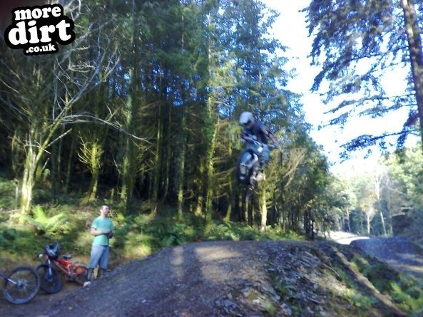 Raven Trail - Brechfa