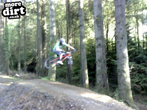 Raven Trail - Brechfa