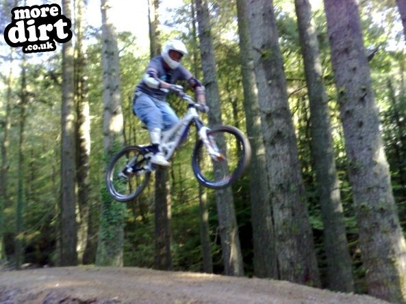 Raven Trail - Brechfa