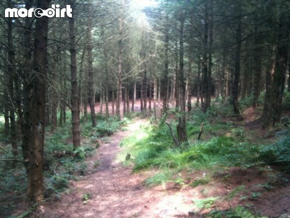 Crompton Moor Trails