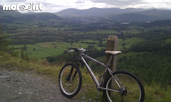 Altura Trail - Whinlatter Forest