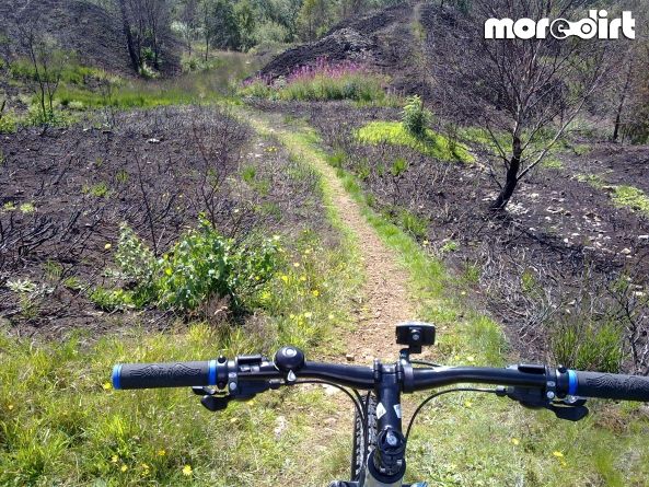 Crompton Moor Trails