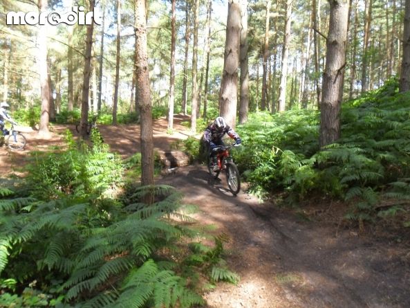 Kinver Freeride Park