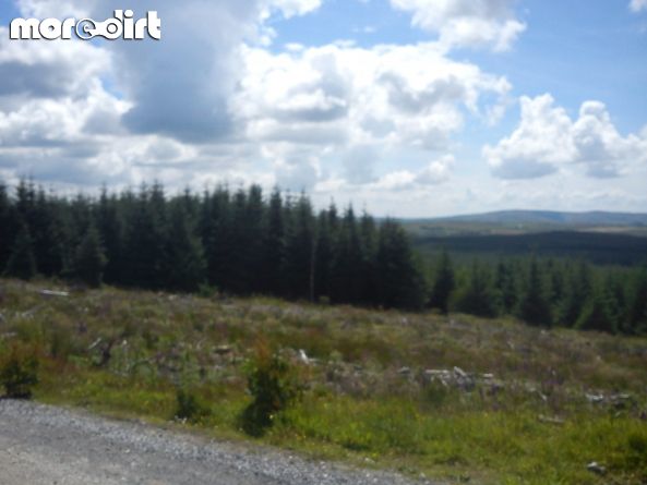 Gisburn Forest Mountain Bike Trails
