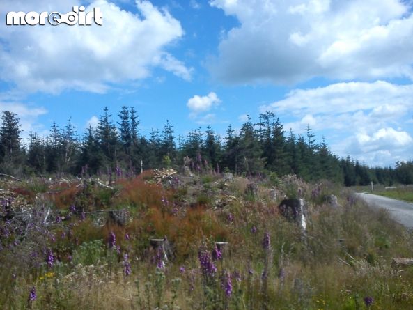 Gisburn Forest Mountain Bike Trails