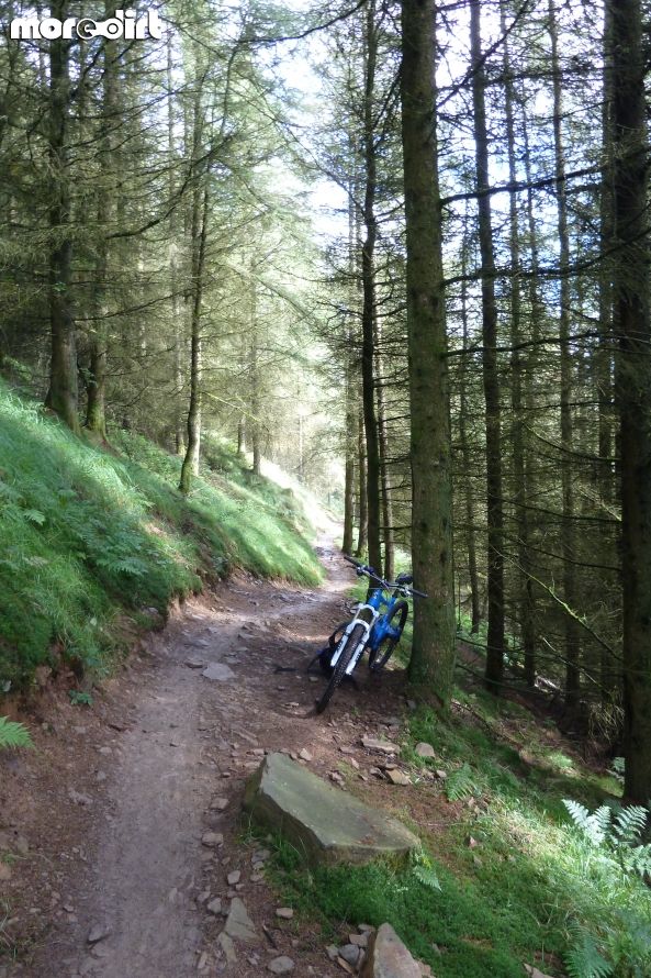 Whites Level Trail - Afan Forest