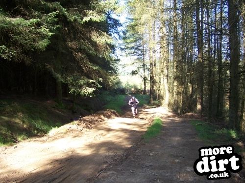 Penhydd Trail -  Afan Forest