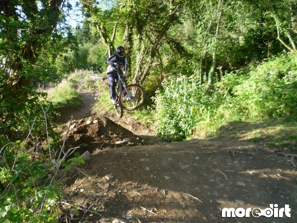 Mountain Ash DH Trail