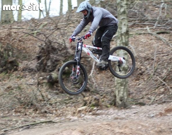 Monkey Trail - Cannock Chase