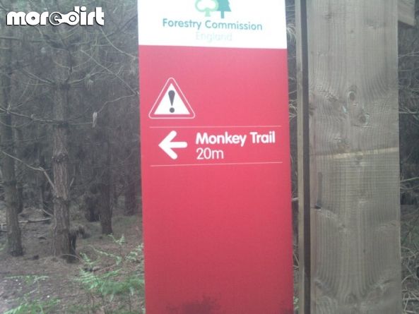 Follow the Dog Trail - Cannock Chase