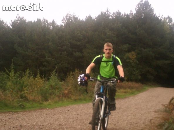 Follow the Dog Trail - Cannock Chase