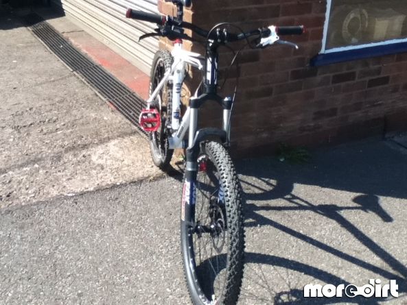 Follow the Dog Trail - Cannock Chase
