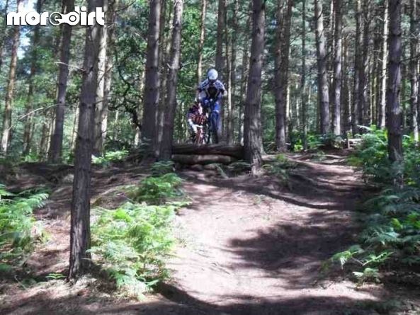 Kinver Freeride Park