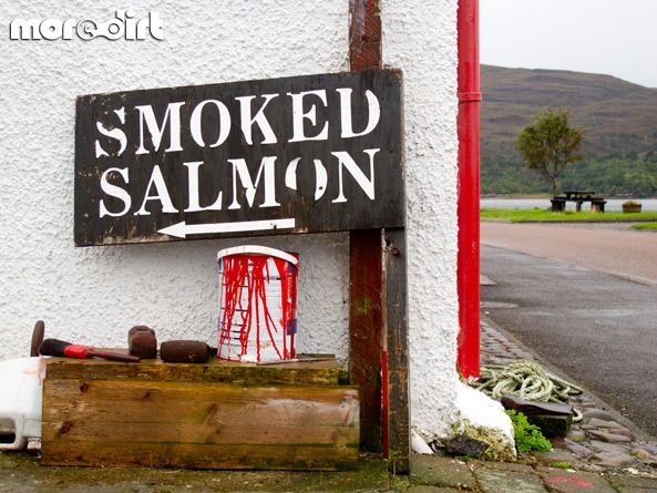 MTB Scotland Holidays