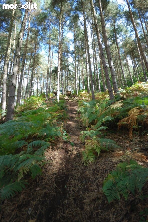 Kinver Freeride Park