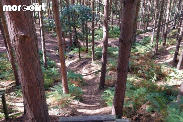 Kinver Freeride Park