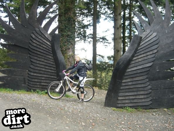 Raven Trail - Brechfa