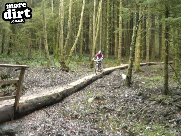 Raven Trail - Brechfa