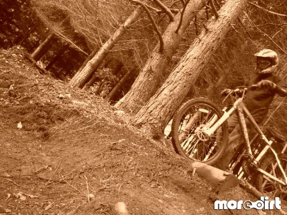 Yettington Freeride