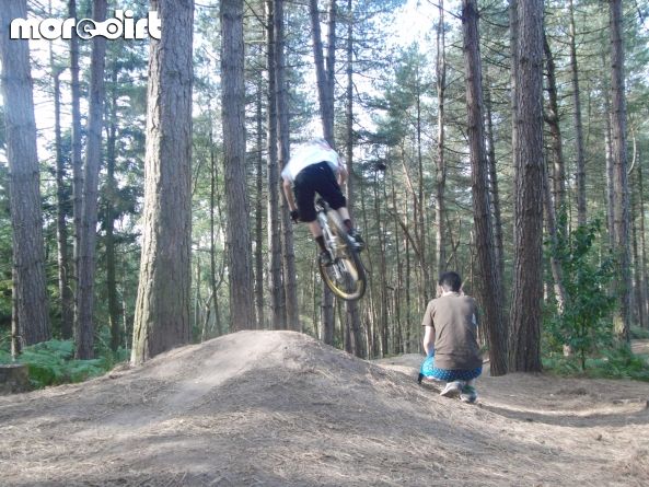 Delamere Forest Mountain Bike Trails