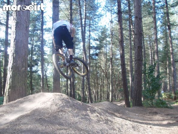Delamere Forest Mountain Bike Trails