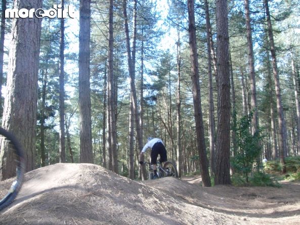 Delamere Forest Mountain Bike Trails