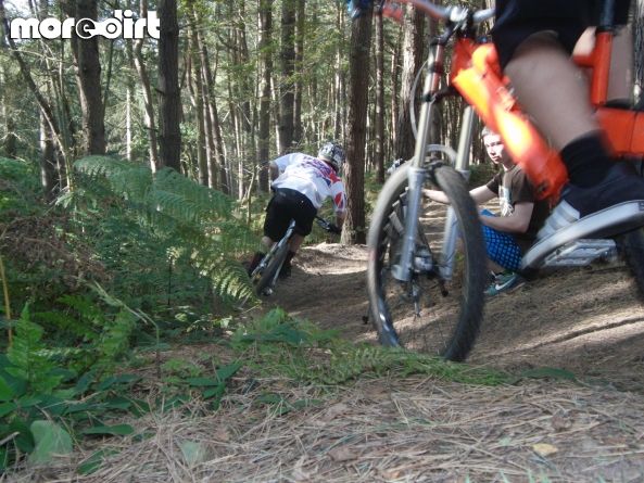 Delamere Forest Mountain Bike Trails