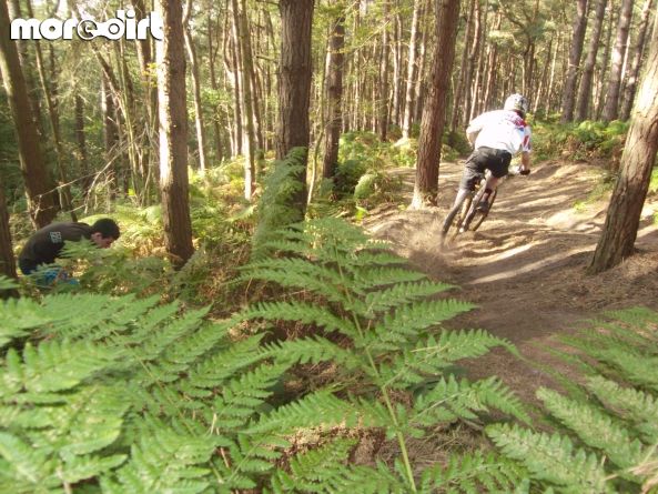 Delamere Forest Mountain Bike Trails