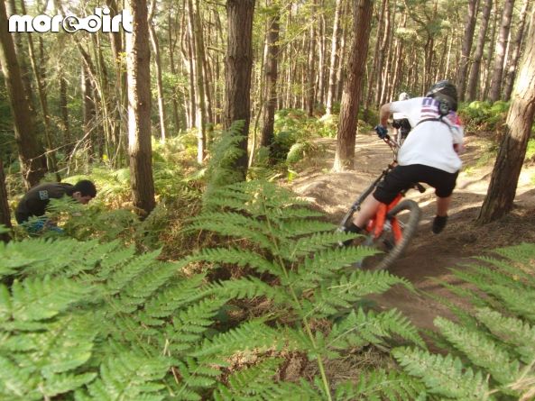 Delamere Forest Mountain Bike Trails