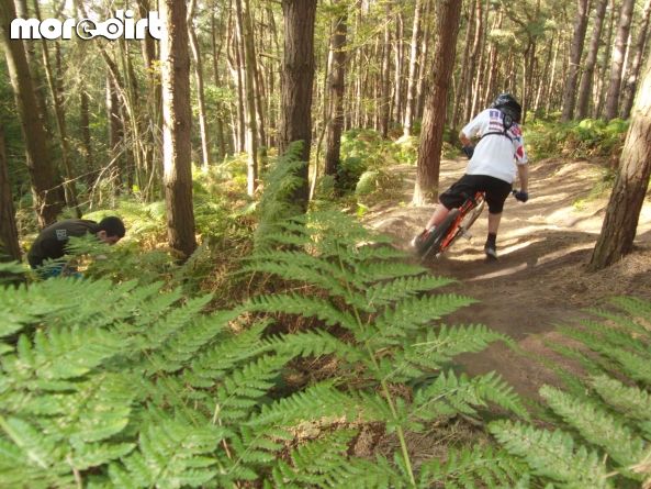 Delamere Forest Mountain Bike Trails