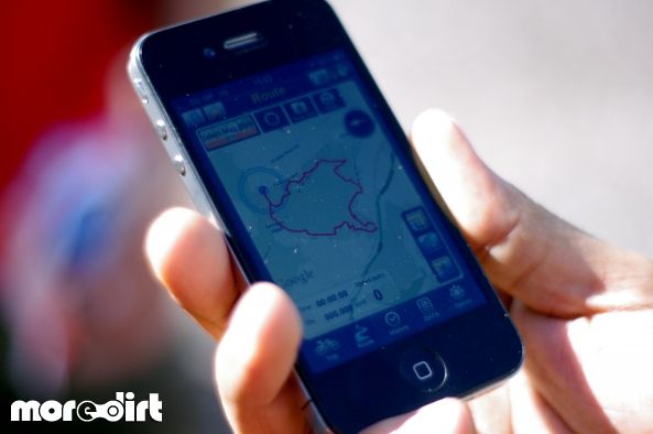 Follow the Dog Trail - Cannock Chase
