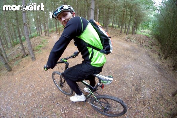 Follow the Dog Trail - Cannock Chase