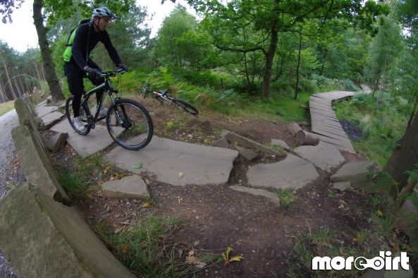 Follow the Dog Trail - Cannock Chase