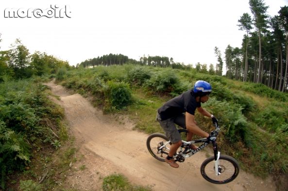 Follow the Dog Trail - Cannock Chase