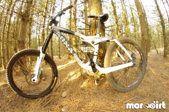 Monkey Trail - Cannock Chase