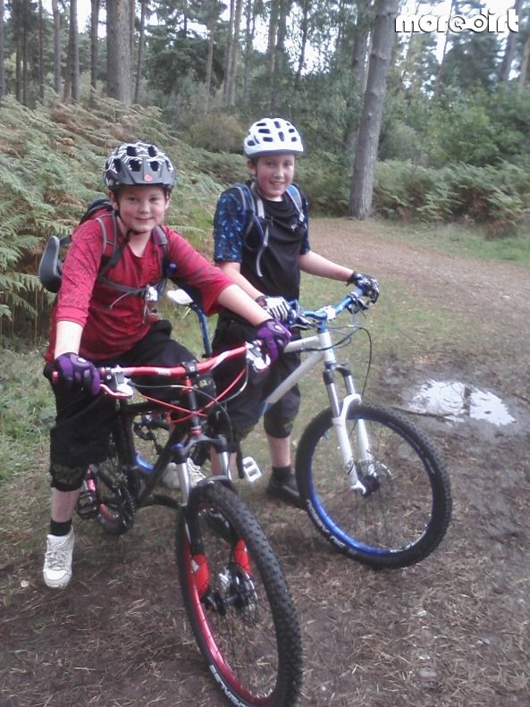 Follow the Dog Trail - Cannock Chase