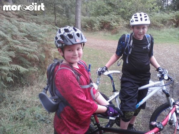 Follow the Dog Trail - Cannock Chase