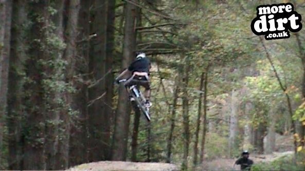 Raven Trail - Brechfa