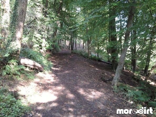 Cavehill Mountain Biking Trails