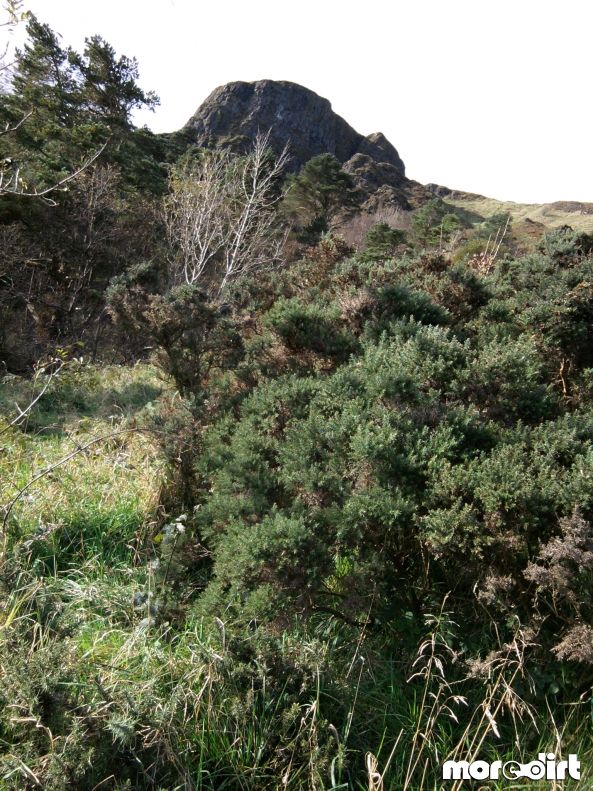 Cavehill Mountain Biking Trails