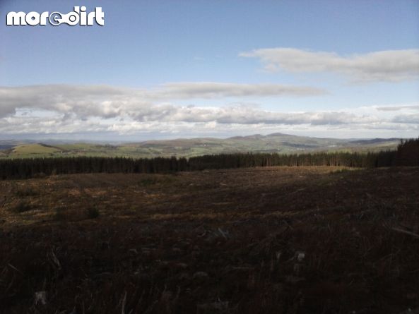 Red Trail - Coed Llandegla Forest