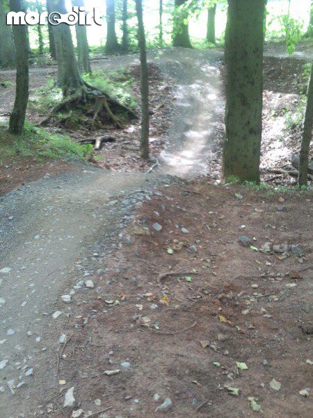 Nova Trail - Ashton Court