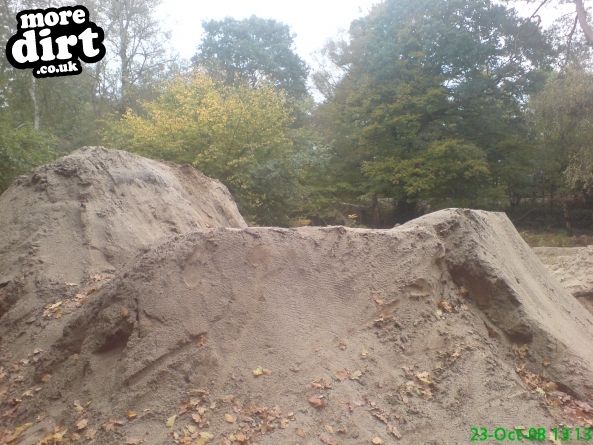 Buckland Rings Trail