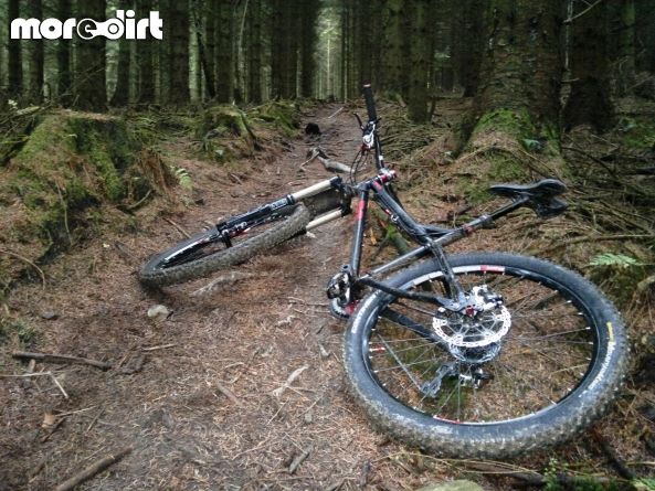 Black Trail - Coed Llandegla Forest