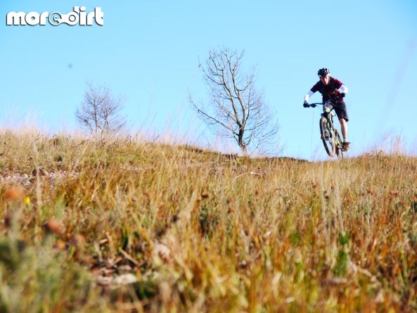 Woodbury Common Trails