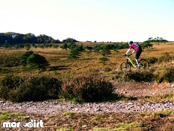 Woodbury Common Trails