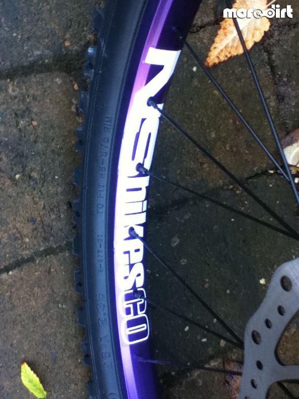 Dalby Forest Red Trail