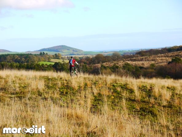 Woodbury Common Trails