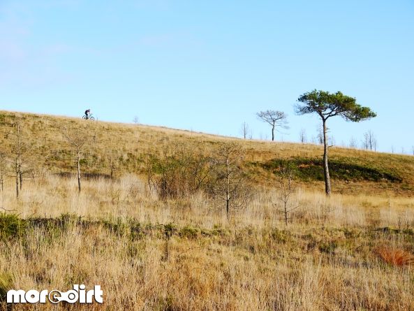 Woodbury Common Trails