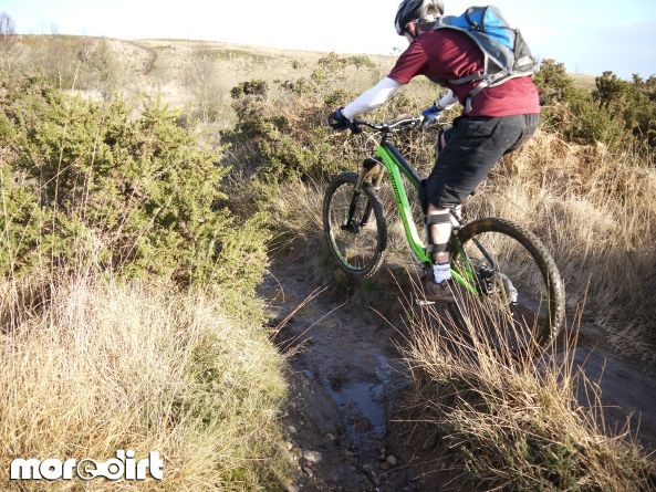 Woodbury Common Trails